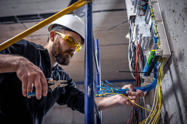Best Electric Panel Repair  in Snow Hill, NC